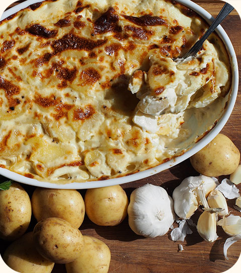 Morue gratinée à l'aïoli